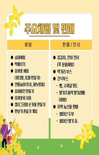 진원면유채꽃축제